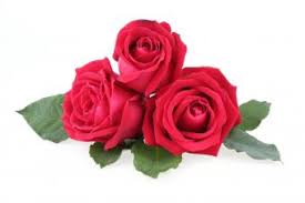 Roses Example Order - Sweet Celebrationz LLC